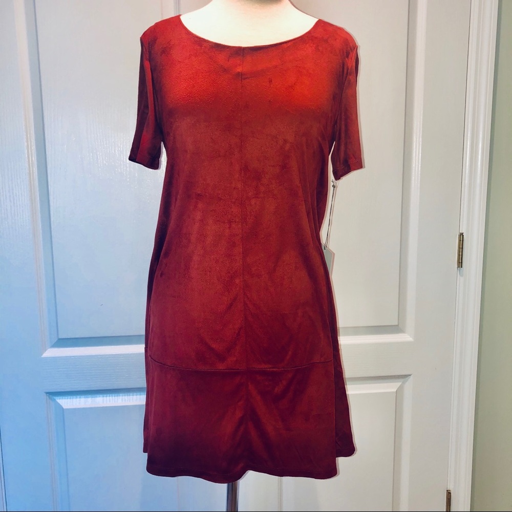 Bishop & Young Rust Suede Dress